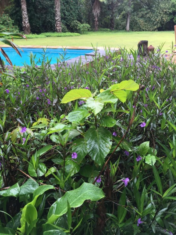 Meru House Lekisilai image 18